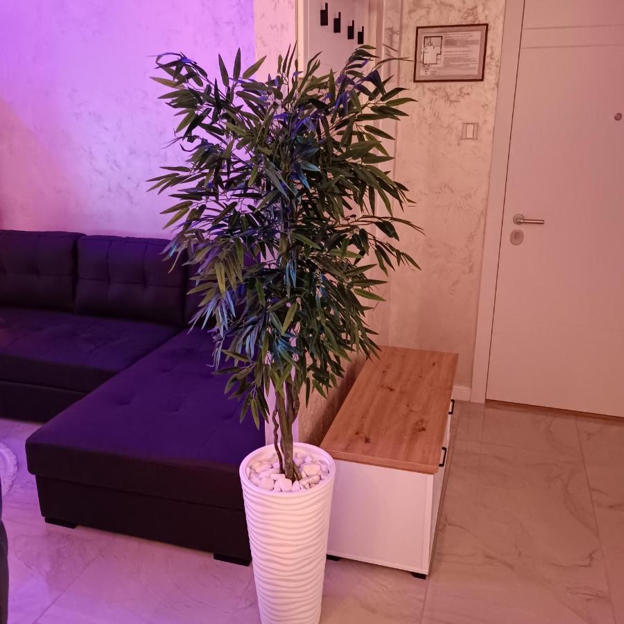 Rb Apartment 3 Lux Smart House Суботица Экстерьер фото